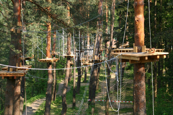 Amani Sasa Camp Update