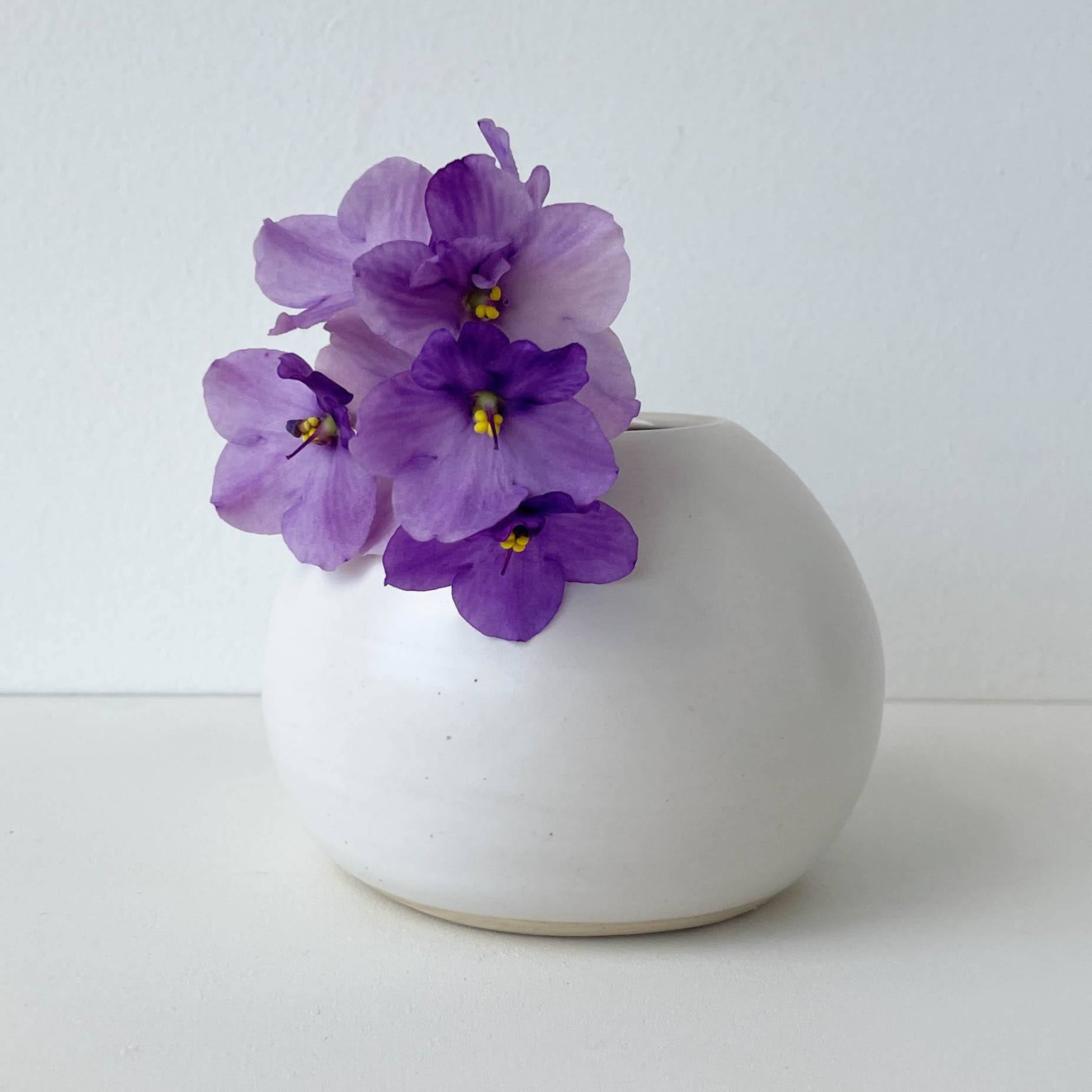 White vase with purple flowers on a white background